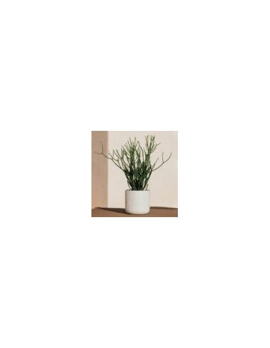 Maceta Sita Air Blanco 18.5x18 cm Herstera  Diseño Moderno y Duradero

