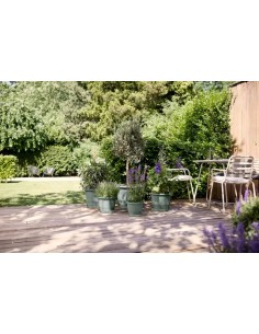 PLATO LOFT REDONDO THYME  21CM VERDE 2