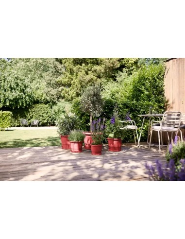 PLATO LOFT REDONDO THEATRE 21CM ROJO