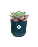 Maceta Vibes Mini Azul 9 cm  Elegancia y Estilo para Plantas Pequeñas | Endanea Garden

