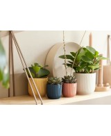 Maceta Vibes Mini Azul 9 cm  Elegancia y Estilo para Plantas Pequeñas | Endanea Garden

