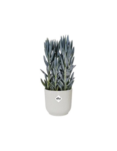 Maceta Vibes Fold Round Mini 25 cm Blanco  Elegancia Moderna para Plantas | Endanea Garden

