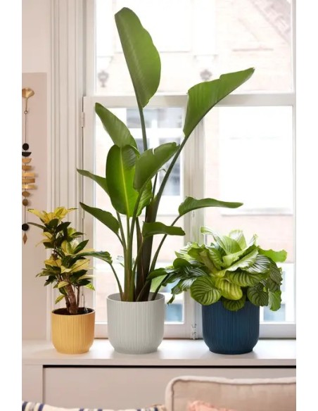 Maceta Vibes Fold Round Mini 25 cm Blanco  Elegancia Moderna para Plantas | Endanea Garden

