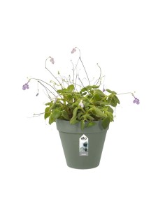 MACETERO DOBLE 15CM VERDE 2