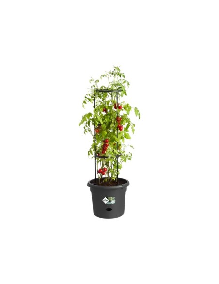 Maceta GB Tomates 33 cm Negra para Cultivo Interior y Exterior | Endanea Garden