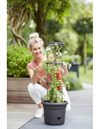 Maceta GB Tomates 33 cm Negra para Cultivo Interior y Exterior | Endanea Garden