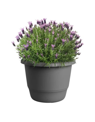 Maceta Redonda Amiga Antracita 30 cm | Elegante y Funcional | Endanea Garden