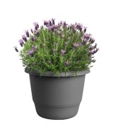 Maceta Redonda Amiga Antracita 30 cm | Elegante y Funcional | Endanea Garden

