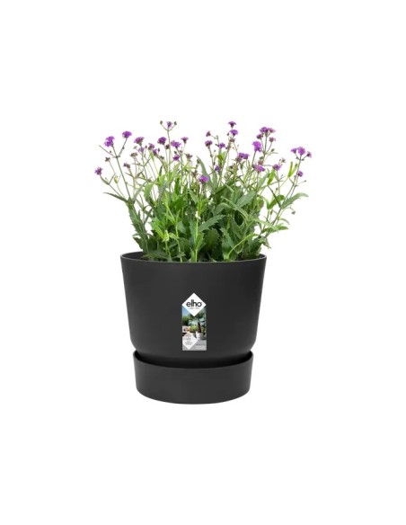 Maceta Redonda Greenville Negro 14 cm | Elegante y Resistente | Endanea Garden
