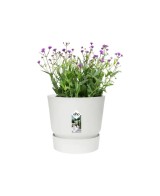 Maceta Greenville Redonda 20 Blanco  Elegancia y Funcionalidad para tus Plantas | Endanea Garden