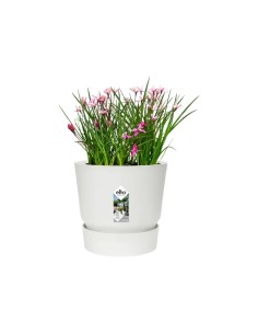 Maceta Greenville Redonda 16cm Blanca | Maceta Elegante y Resistente para Plantas | Endanea Garden 2