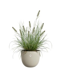 MACETA SEREH BEIGE 30CM 2