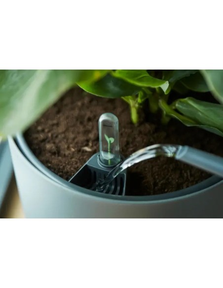 Hidrojardinera Insert 24cm Negro  Autorriego y Diseño Moderno para Jardín y Hogar

