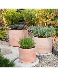 Maceta Cilindro 17x13 cm  Elegante y Minimalista para Plantas | Endanea Garden

 2