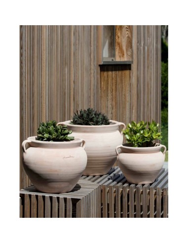 Bol con Asas 28x28 cm  Macetero Decorativo y Multifuncional para Interior y Exterior | Endanea Garden