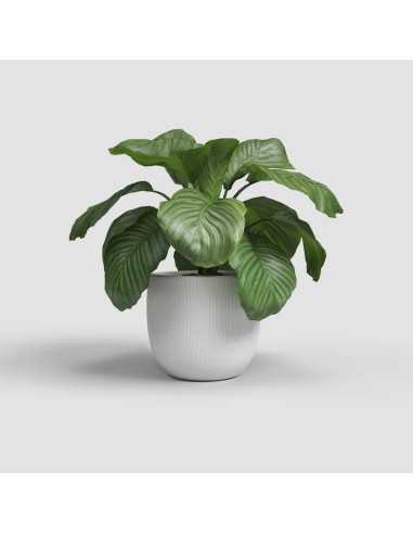 Maceta Aura Blanco 20 cm | Diseño Moderno y Funcional para Plantas Medianas

