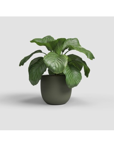 Maceta Aura 20 MA Verde Oliva | Diseño Durable para Plantas Medianas Interior y Exterior

