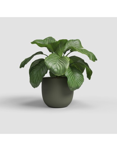 Maceta Aura 20 MA Verde Oliva | Diseño Durable para Plantas Medianas Interior y Exterior

