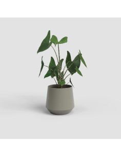 Maceta Aurora 20cm Topo  Elegancia y Funcionalidad para Plantas Medianas 2