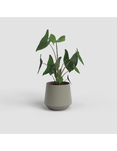 Maceta Aurora 20cm Topo  Elegancia y Funcionalidad para Plantas Medianas

