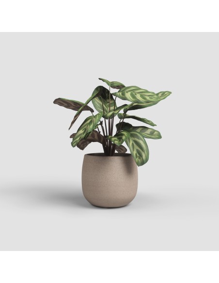 Maceta Hemera 20 cm Topo  Moderna, Resistente y Funcional para Interior y Exterior

