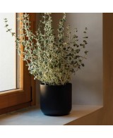 Maceta Sita Antracita 9.5x9.5 cm | Duradera y Moderna para Interior y Exterior

