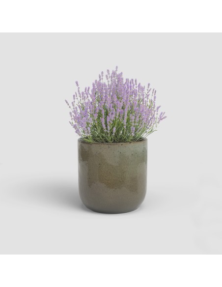 Maceta Jupiter 16cm Verde Gris  Para interior y exterior, diseño moderno

