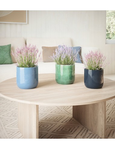 Maceta Jupiter 25cm Verde Agua  Decorativa, resistente y perfecta para plantas medianas

