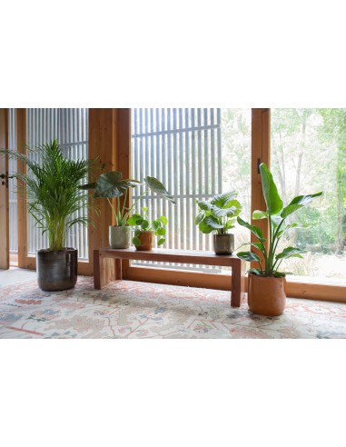 Maceta Jupiter 29cm Verde Agua  Resistente, decorativa y con drenaje eficiente

