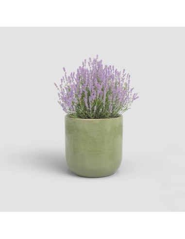 Maceta Jupiter 33cm Verde Agua  Grande, resistente y decorativa para interior o exterior

