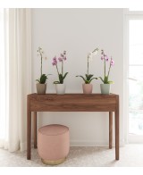 Maceta Thalia Orquídea 14 cm Rosa | Maceta Moderna para Orquídeas y Plantas Medianas

