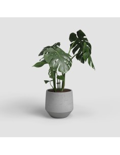 Maceta Venus 20 cm MA Gris Claro  Diseño Moderno y Resistente para Interior y Exterior 2