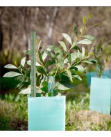 Tutor Acero Plastificado 60cm Faura para Plantas Jardín Huerto