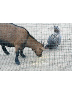 Alambre para Cercados y Jaulas  Resistente y Durable para Agricultura y Avicultura

 2