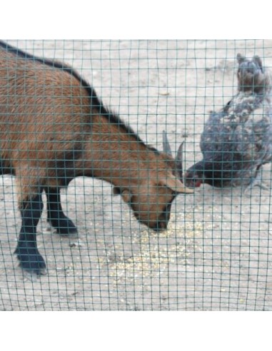 Malla Metal Cuadrada Plastificada 0.5x10m 13mm para Jardín Huerto y Construcción