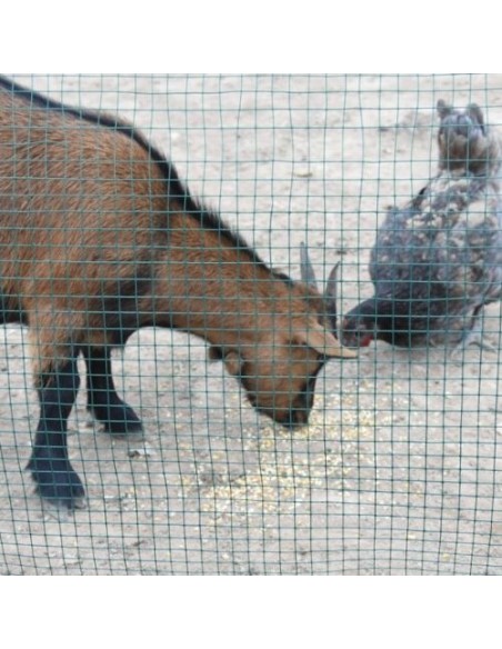 Malla Metal Cuadrada Plastificada 0.5x10m 13mm para Jardín Huerto y Construcción