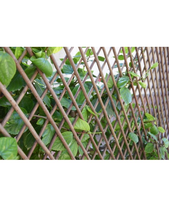 Celosía de Mimbre Natural para Jardín, Terraza o Balcón  Decorativa, Ecológica, Resistente al Clima y Fácil de Instalar

