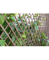 CELOSIA MIMBRE EXTENSIBLE 50X150CM