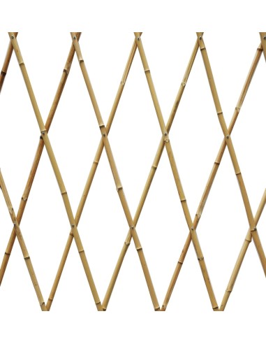 Celosía de Bambú Natural | Privacidad y Estilo Tropical para Jardines y Terrazas

