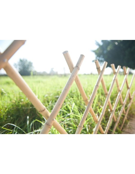 Celosía de Bambú Natural | Privacidad y Estilo Tropical para Jardines y Terrazas

