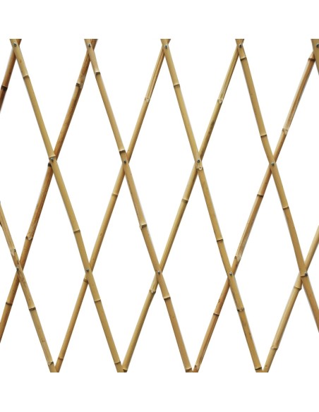 Celosía de Bambú Natural | Privacidad y Estilo Tropical para Jardines y Terrazas

