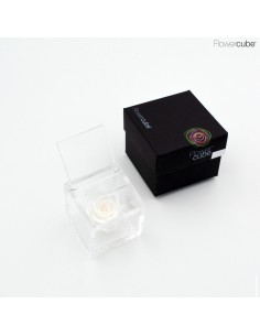 FLOWER CUBE ROSA 6X6 +PACKAGING BLANCO