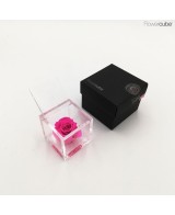 Flowercube Rosa 6x6 Packaging Fucsia Regalo Floral Elegante y Duradero