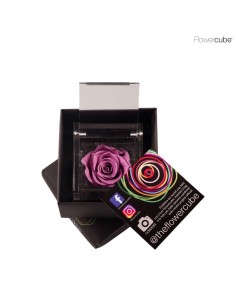 FLOWER CUBE SPECIAL ED ROSA 6X6 PACKAGING LILA