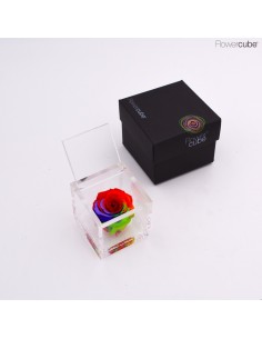Flowercube Special Edition Roja 6x6 con Packaging Colore Rainbow Rosa Preservada Regalo Elegante