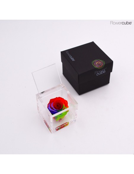 FLOWERCUBE SPECIAL ED ROJA 6X6+PACKAGING COLORE RAINBOW