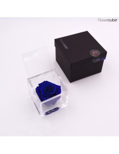 Flowercube Rosa 8x8 Packaging Azul Regalo Elegante y Duradero