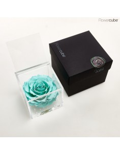 FLOWER CUBE SPECIAL ED ROSA 10X10+PACKAGING TURQUESA