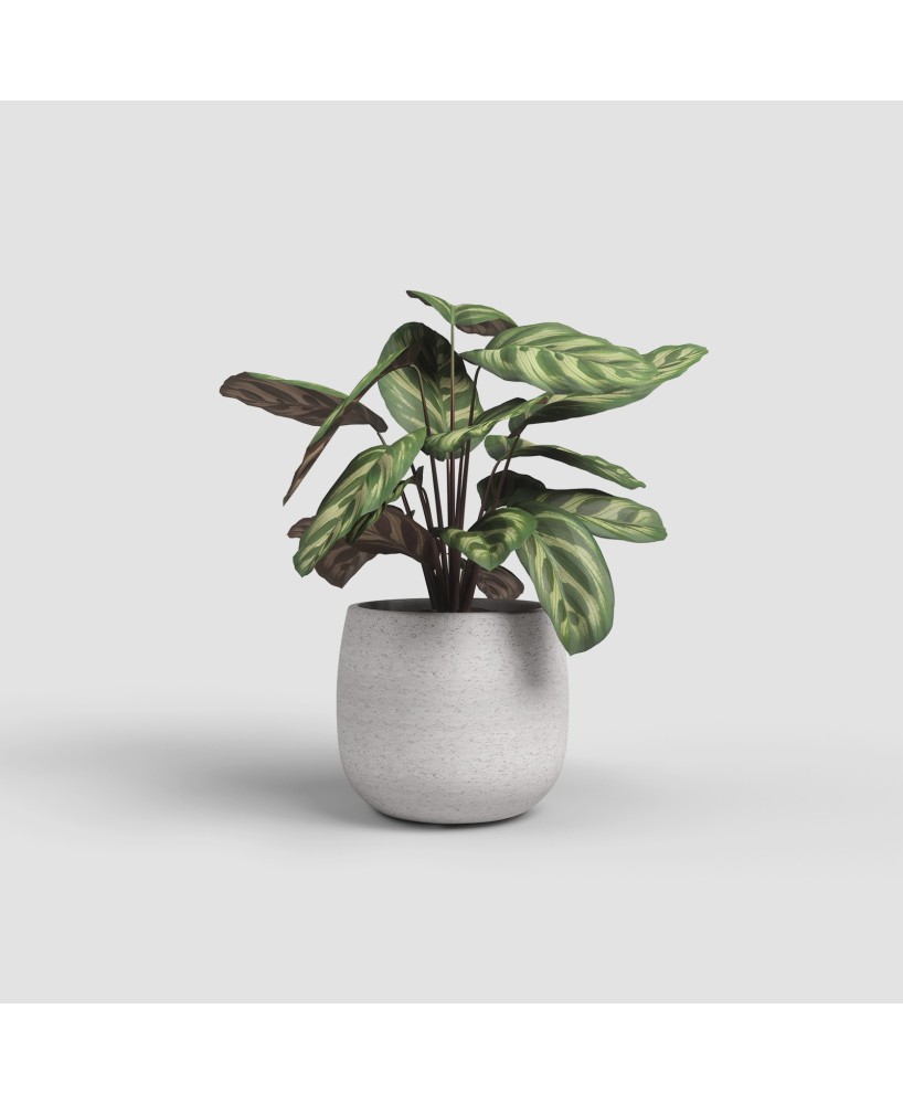 Maceta Hemera 25 cm Crema  Diseño Moderno para Interiores y Exteriores | Endanea Garden

