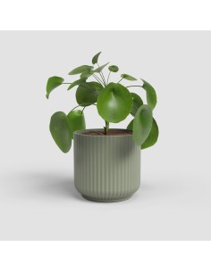 MACETA LUNA 12CM  MA VERDE 2